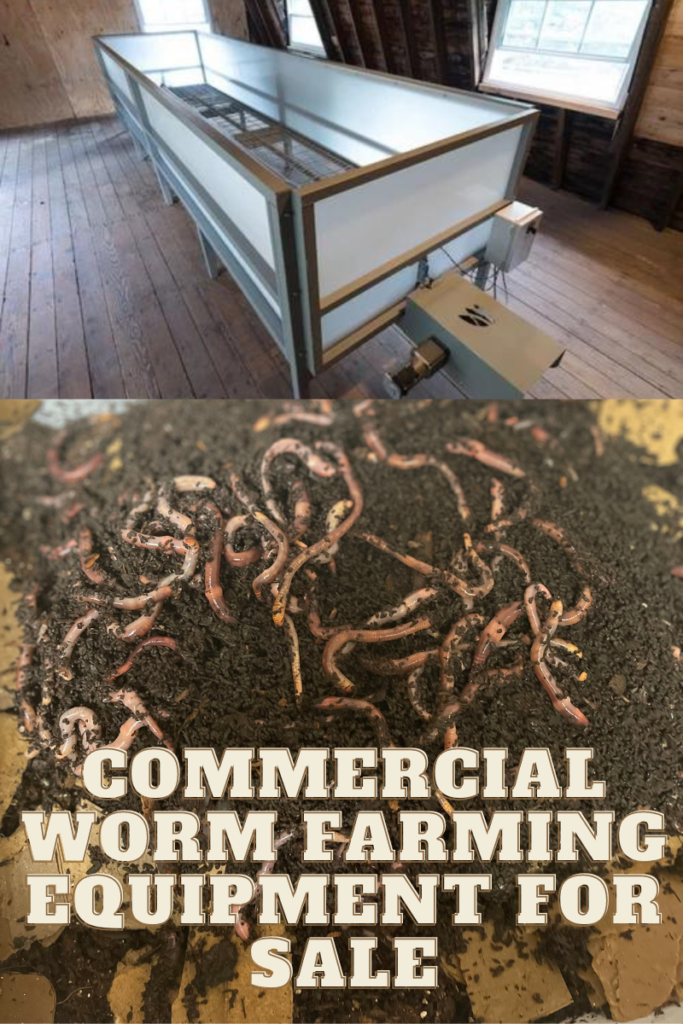 Commercial-Worm-Farming-Equipment-For-Sale