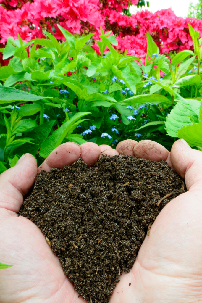 Image of Vermicompost in the hand of a worm farmer.