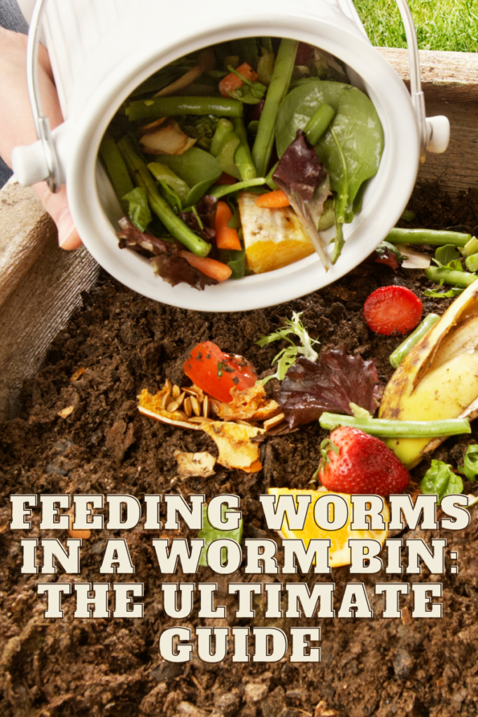 A comprehensive guide on feeding worms in a worm bin, including tips on the best foods, frequency, and techniques for optimal composting results.