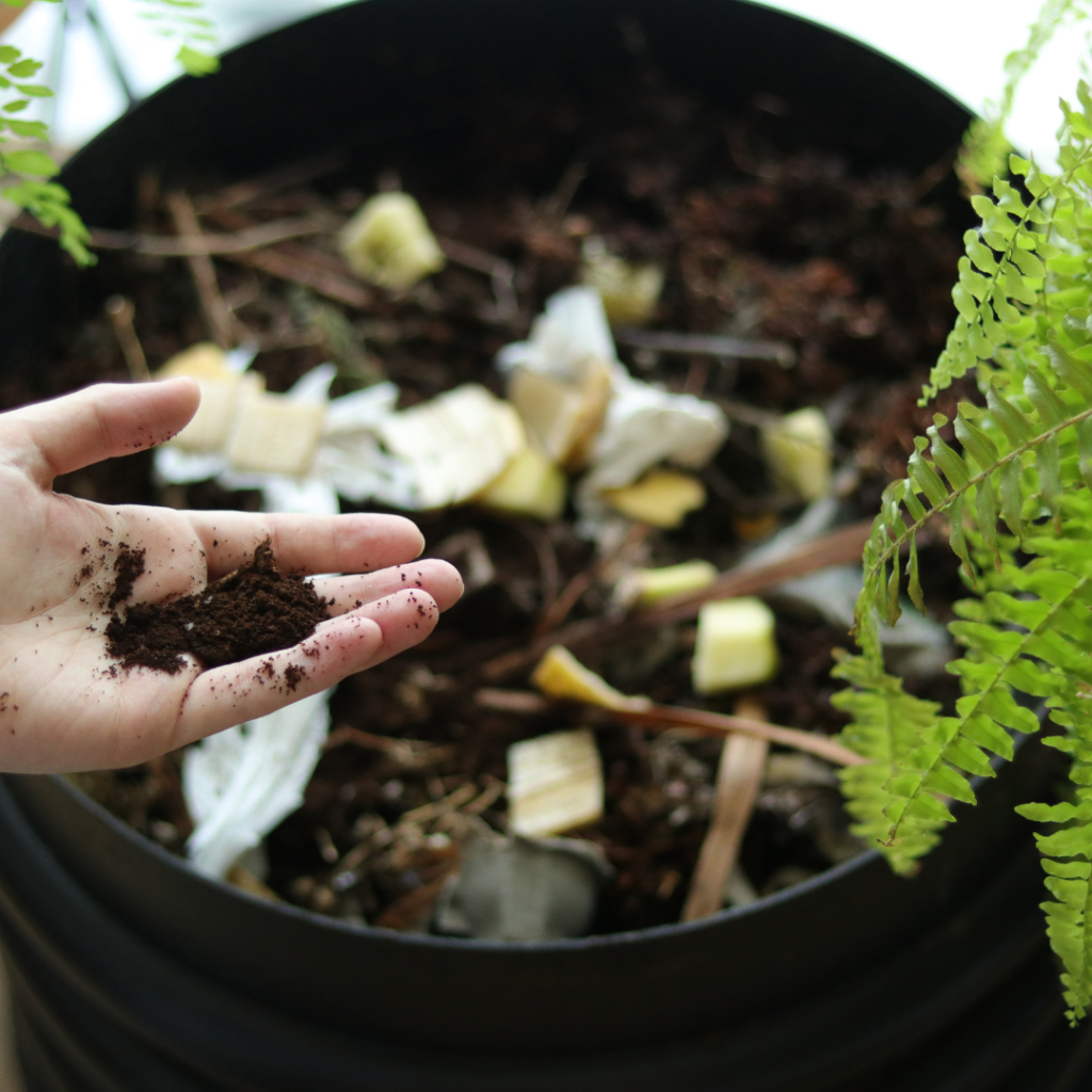 A worm bin being fed food scraps, demonstrating the process of adding food to a worm composting system for successful composting results.