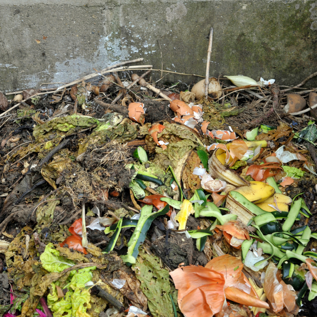 A worm bin filled with food scraps and composting worms, demonstrating an eco-friendly method for reducing food waste and creating nutrient-rich soil for gardening.