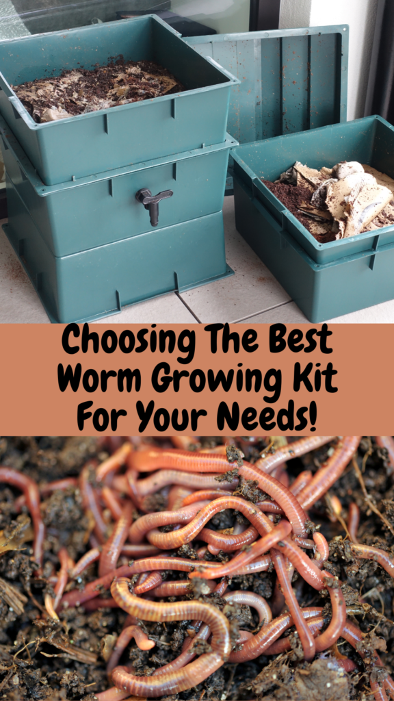 How-To-Choose-The-Best-Worm-Growing-Kit-For-Your-Needs