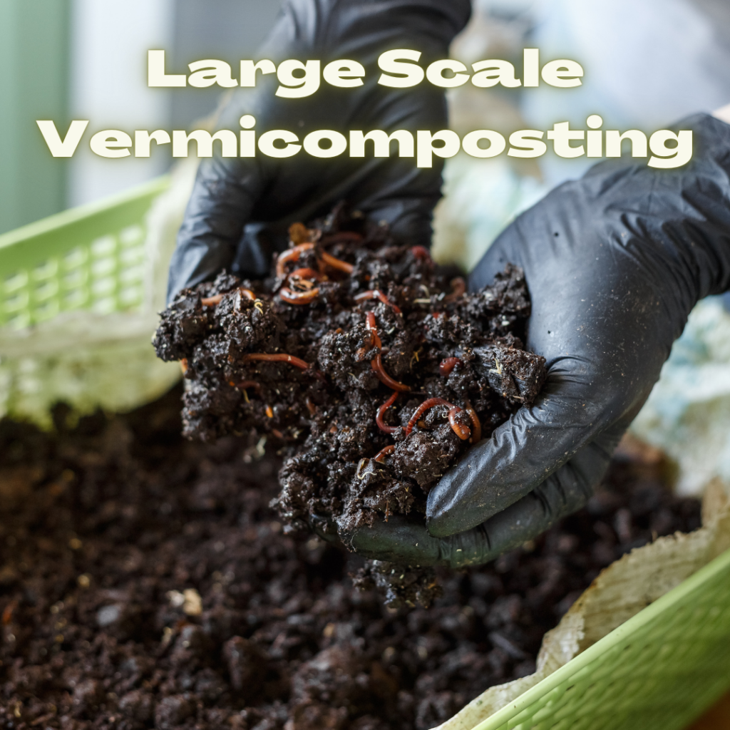 Image of a large scale vermicomposting business.