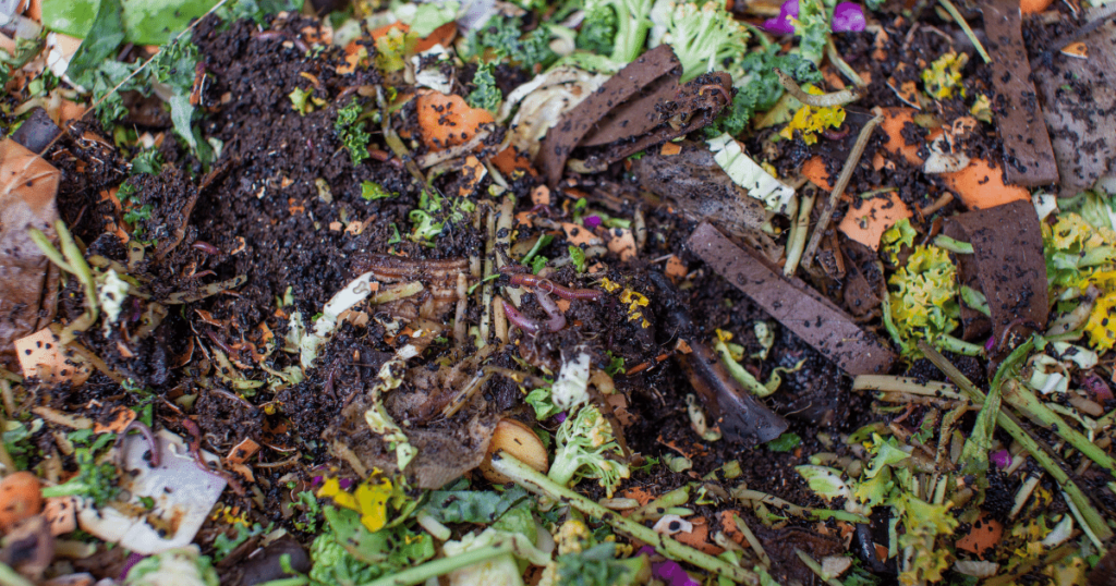 Organic Food Scraps Creating the Best Worm Castings: Active worms in a worm bin happily crawling through a mixture of organic food scraps, illustrating the process of converting nutrient-rich waste into the best worm castings for natural garden fertilization.