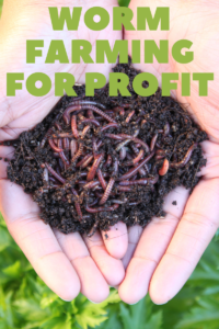 Discover the lucrative world of selling worms for profit.