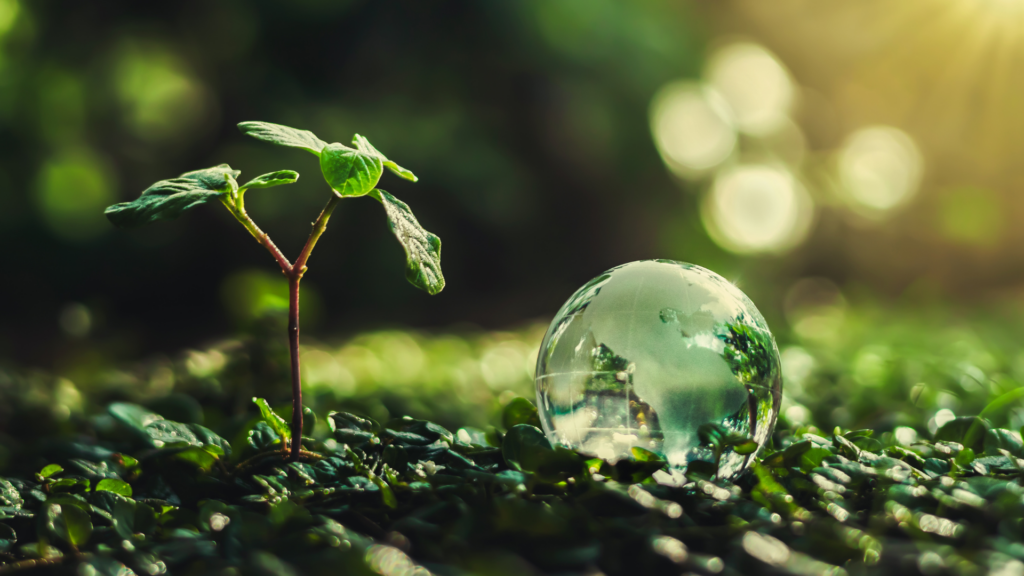 Close-up of a vibrant green seedling growing next to a reflective globe, symbolizing the environmental benefits of vermicomposting and sustainable practices.