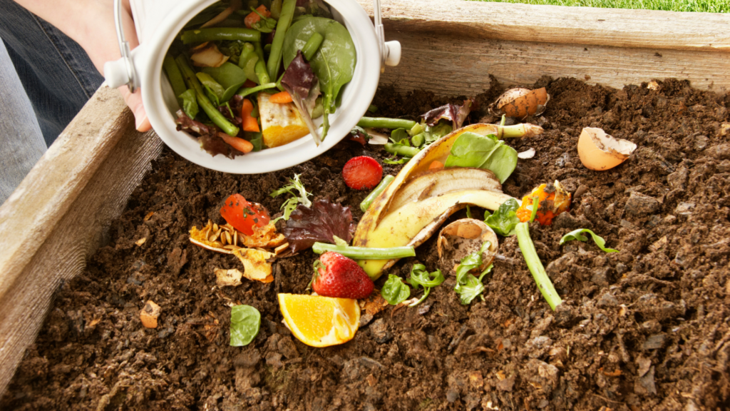 A person pouring fresh kitchen scraps, including banana peels, strawberries, lettuce, and eggshells, into an outdoor composting bin filled with rich soil. The vibrant mix of organic materials highlights the process of feeding worms in a sustainable and eco-friendly composting system.