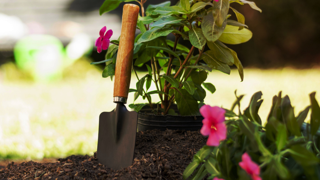 A close-up of a garden trowel resting in rich soil enhanced with worm castings, surrounded by vibrant flowering plants. The image highlights the benefits of using worm castings to promote healthy plant growth and enrich garden soil naturally.