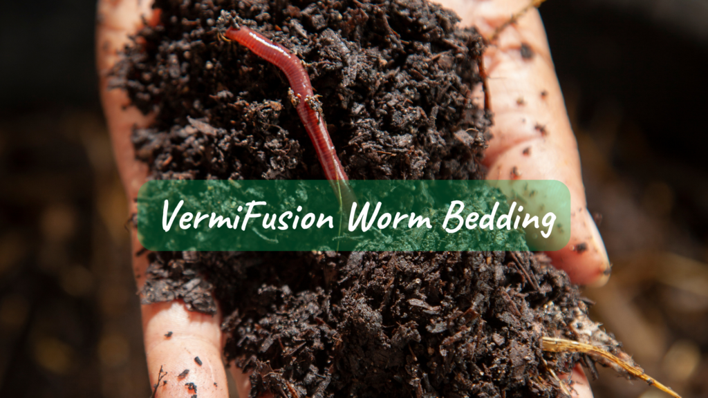 A hand holding the Vermifusion worm bedding with a red wiggler compost worm inside it.