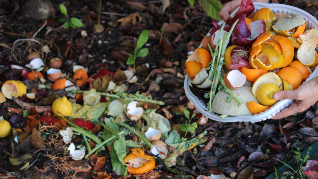 A person holding a bowl filled with various food scraps, including orange peels, eggshells, onion skins, and vegetable stems, preparing to feed a worm bin. The food scraps are spread across a compost area surrounded by leaves, showcasing organic waste suitable for composting.