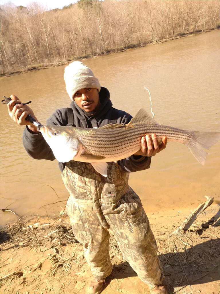 Author photo of Ian from The Worm Farmers blog, proudly holding a freshly caught striped bass on a riverside. Ian combines his passion for fishing with his expertise in worm farming and vermicomposting, sharing tips on worm castings, gardening, and sustainable living.